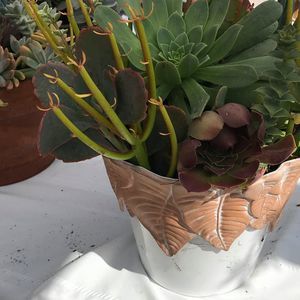 Meet your Posher, Leticia